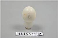 藏品(翠鳥卵)的圖片